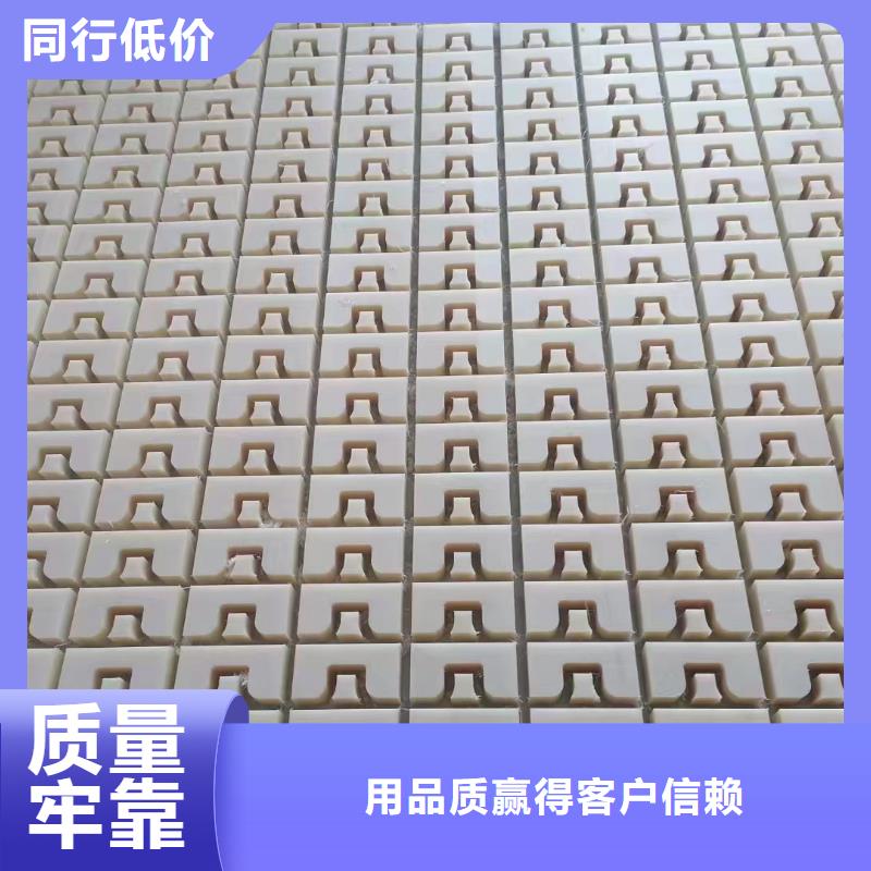 誠信的藍色尼龍板生產廠家