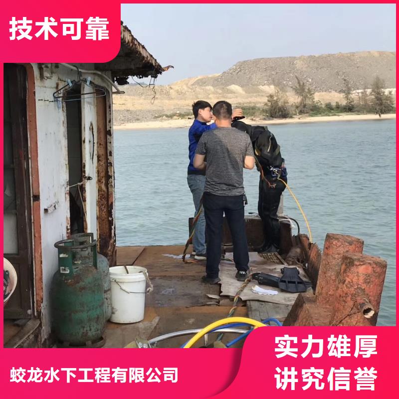 附近打撈隊品牌:蘇龍水下工程有限公司