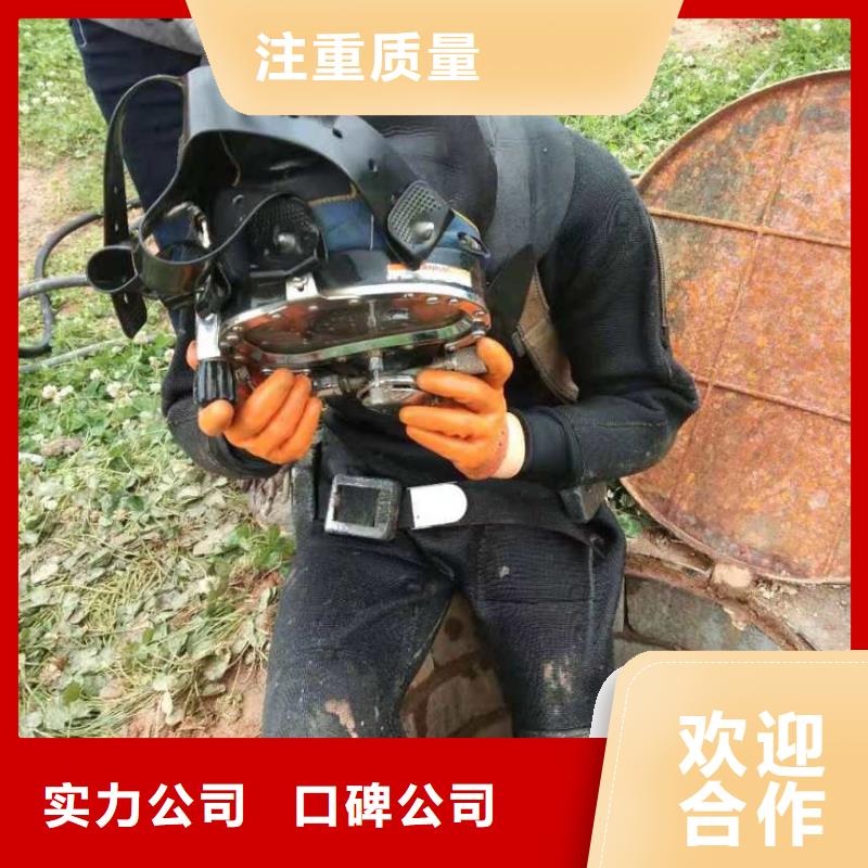 优质的厌氧池蛙人打捞水泵-实体厂家可定制