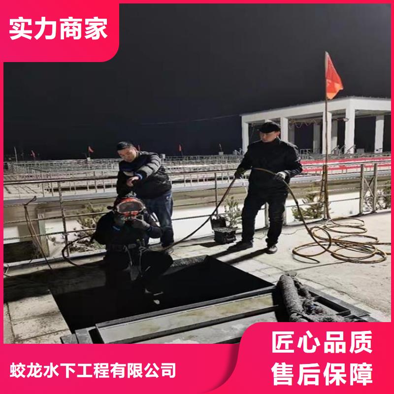找蛙人服务公司实体大厂