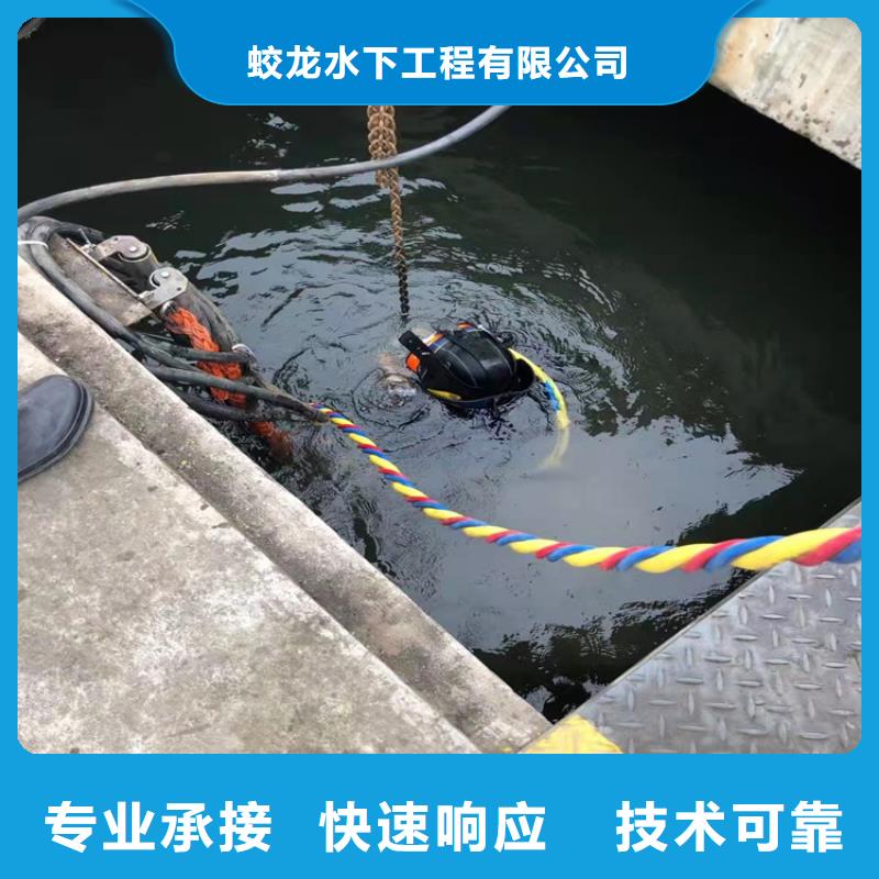 價格行情:水下作業隊伍
