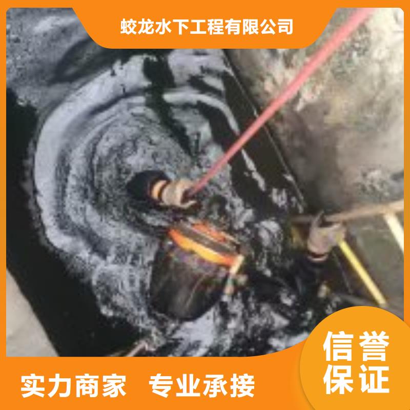 优质的蛙人作业队伍供货商