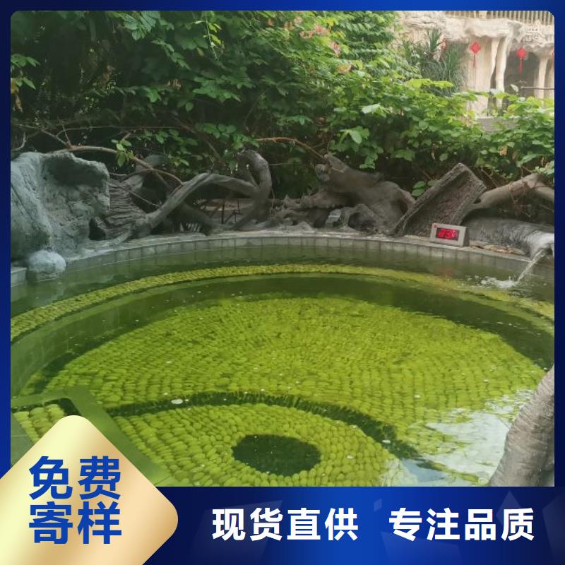 循環(huán)再生介質(zhì)濾缸
國(guó)標(biāo)泳池
渠道商