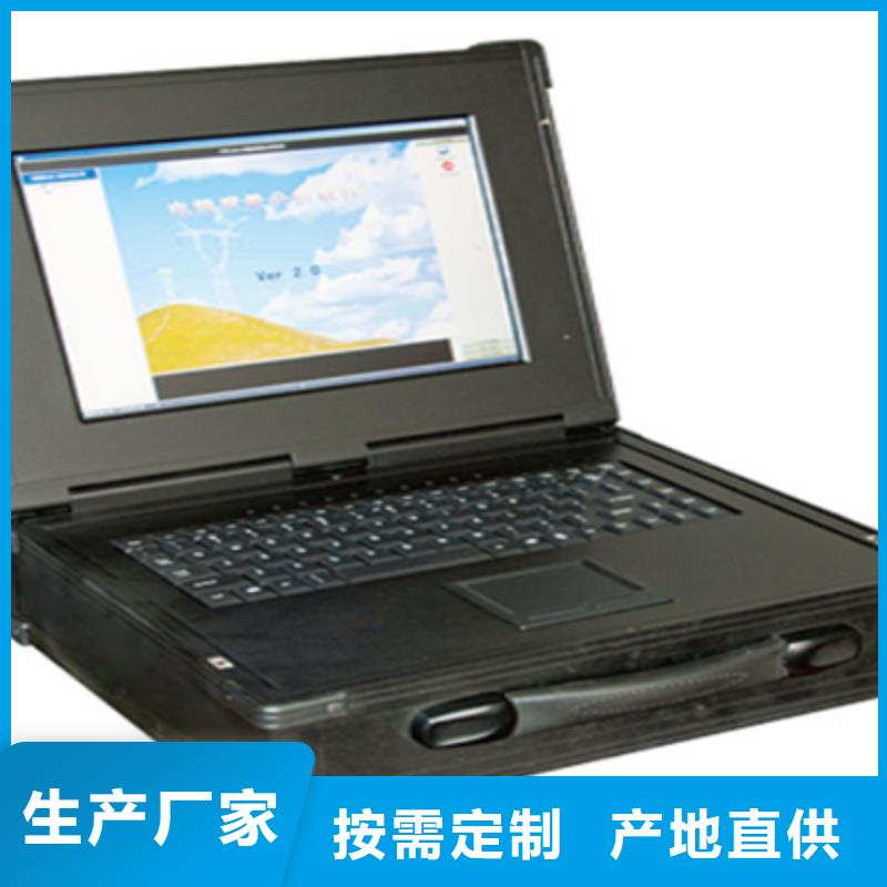 新型防窃电远程稽查仪货源
