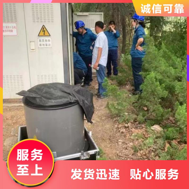 電纜震蕩波試驗原理價格公道