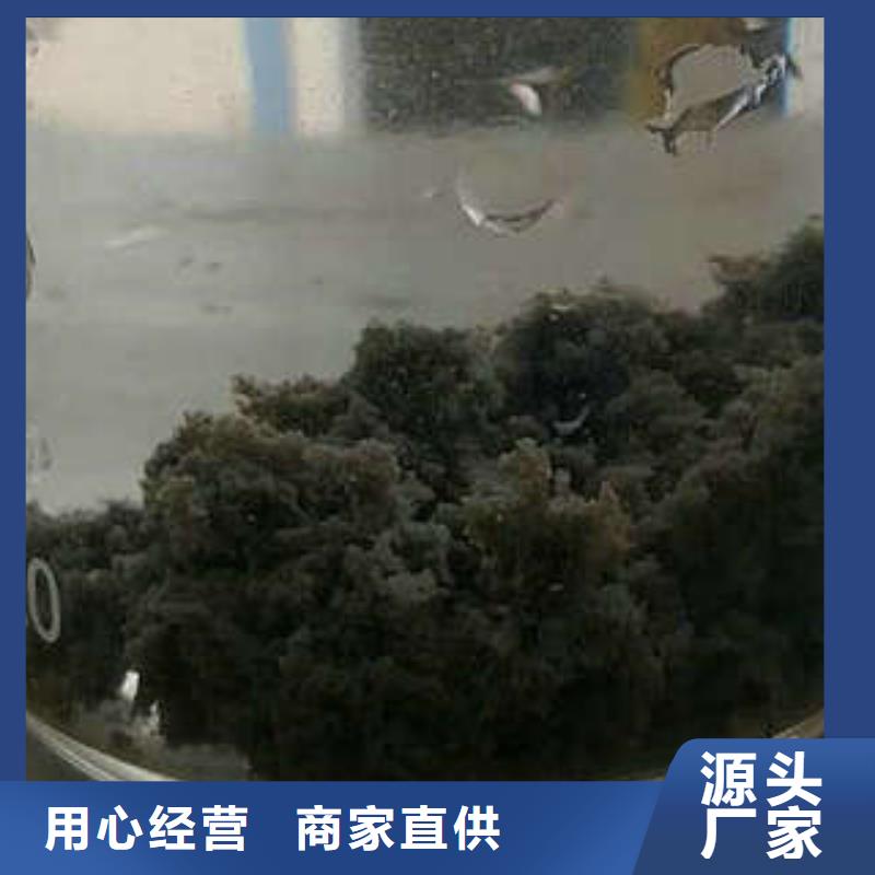甄選：乙酸鈉廠家生產(chǎn)廠家