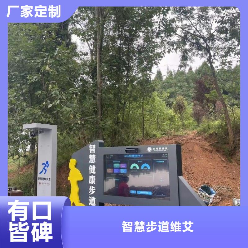 ai虛擬騎行造價（維艾狄爾）