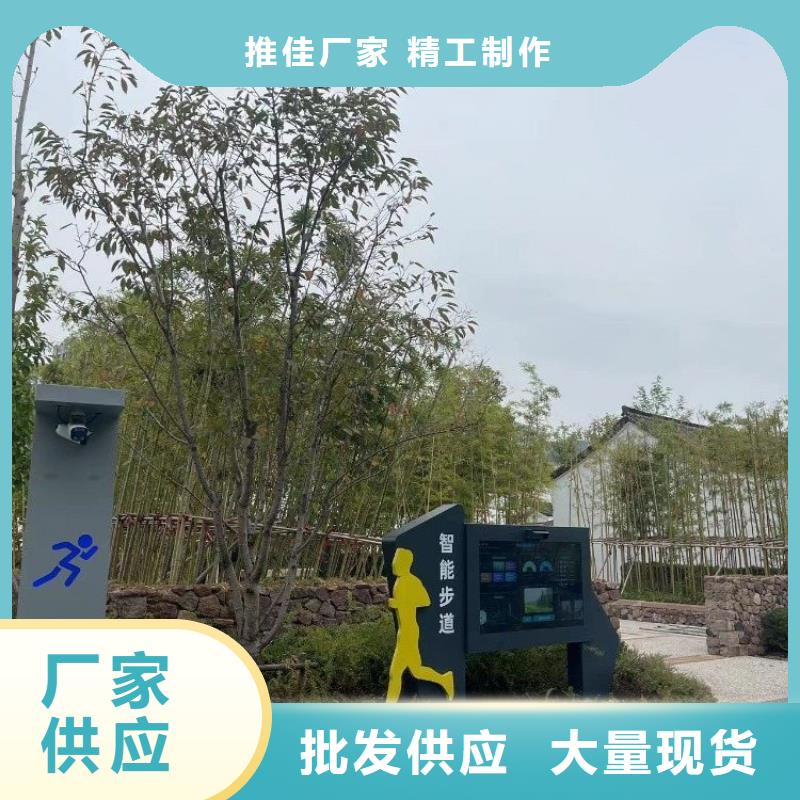 人臉識別智慧步道造價（維艾狄爾）