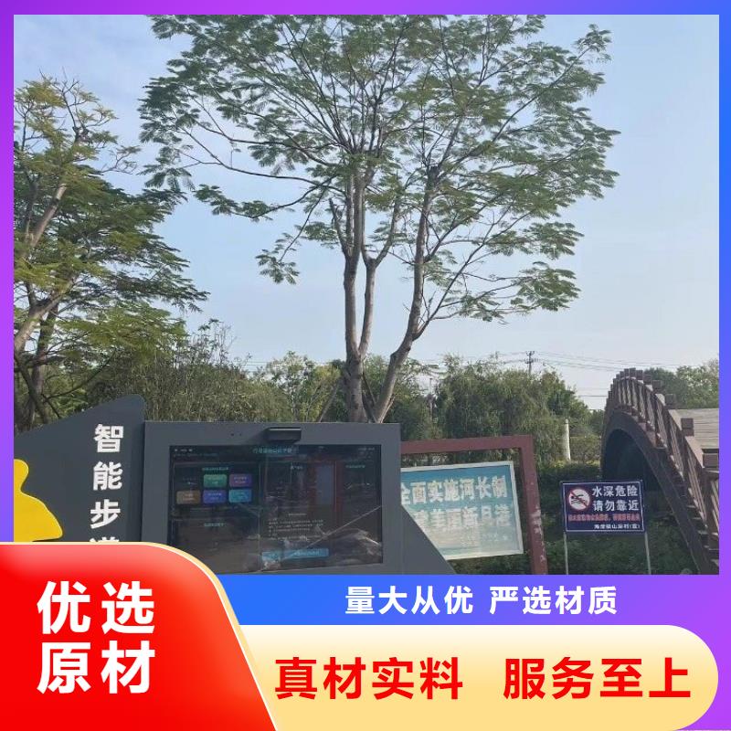 光影陪跑設計方案（oem貼牌）