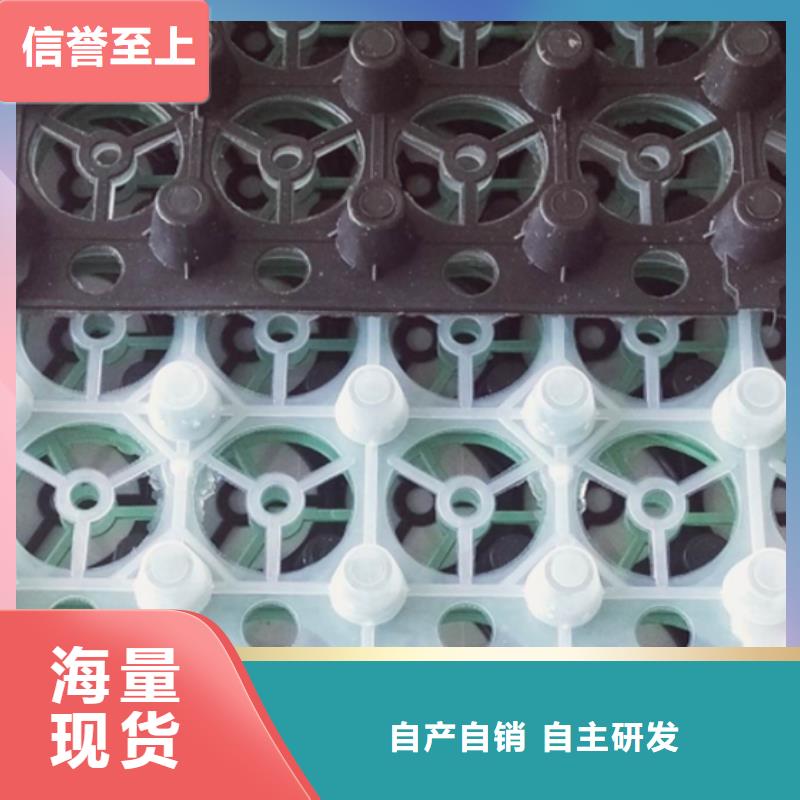 排水板批發價格
