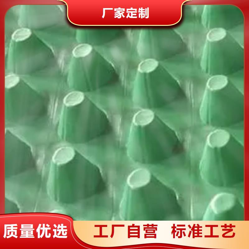 塑料排水板本地公司