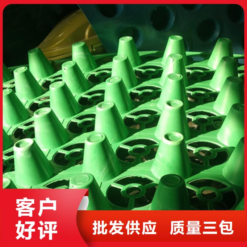 【排水板】植草格精心選材