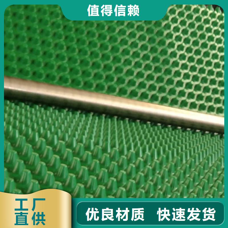 排水板植草格來圖加工定制