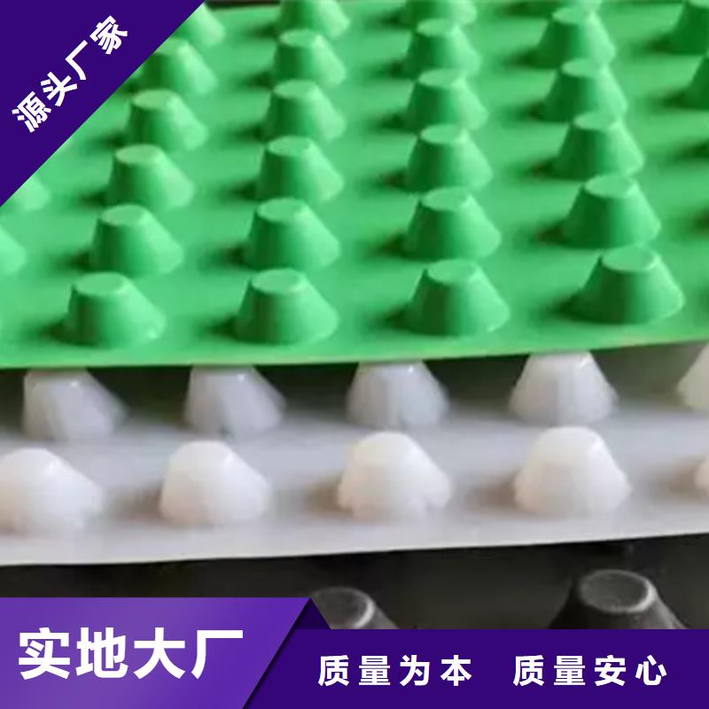 塑料排水板產地貨源
