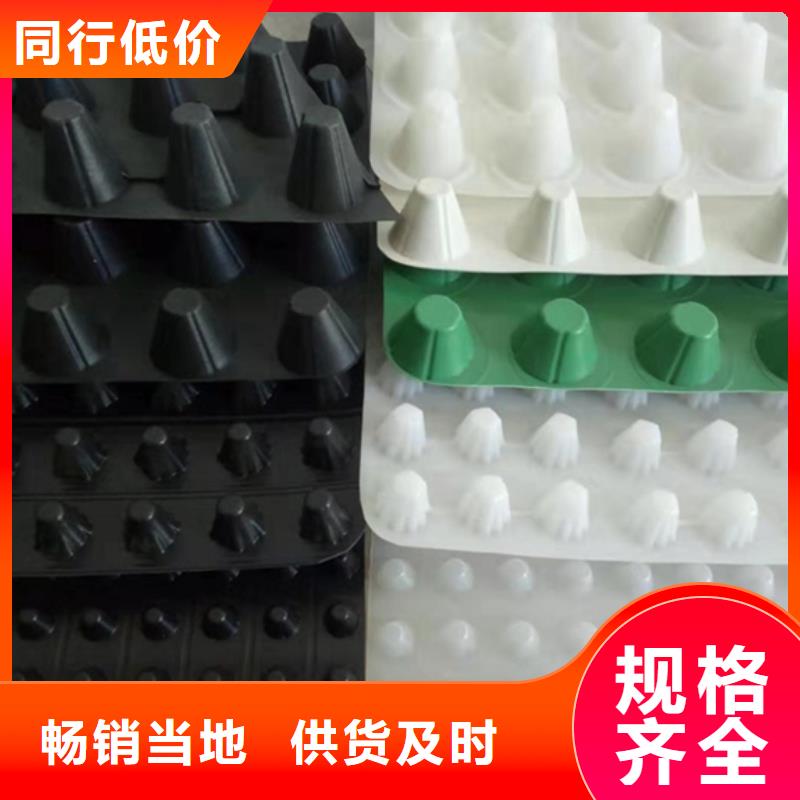 排水板-高分子排水異形片公司