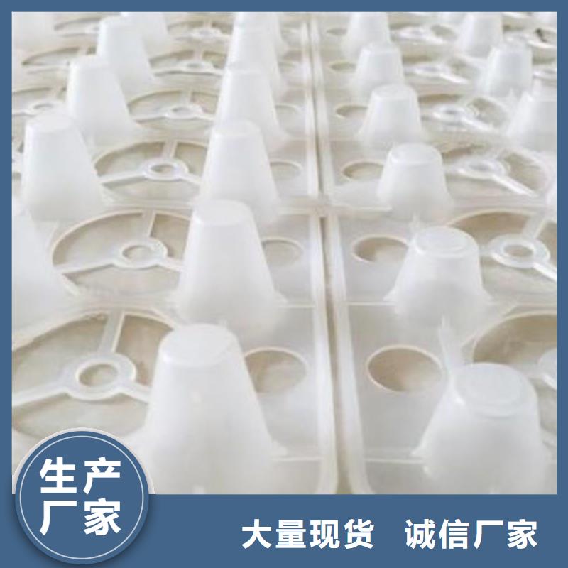 塑料排水板庫存充足