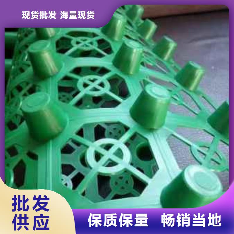 排水板化糞池水泥服務至上