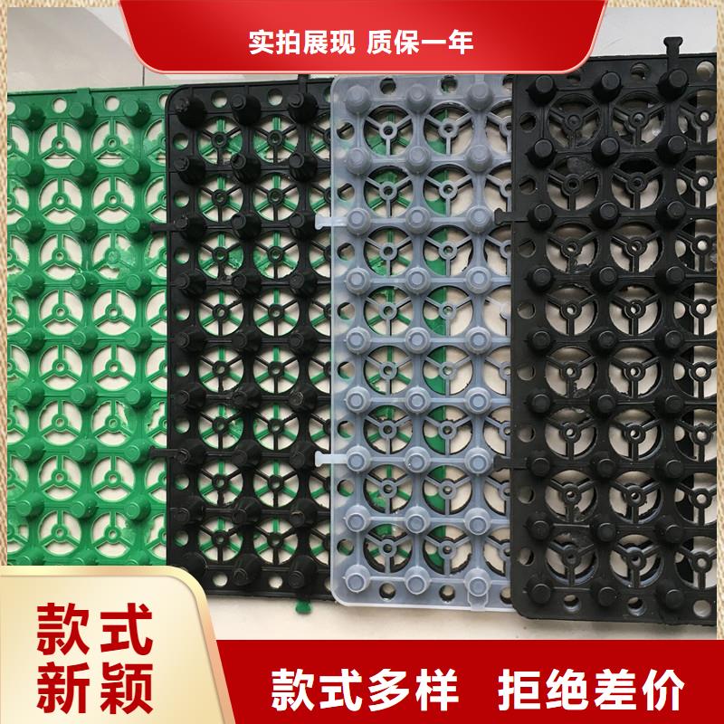 排水板型號全/價格低