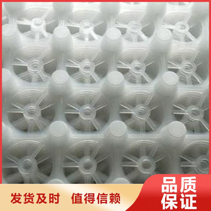 排水板-防護虹吸排水收集系統廠家直銷省心省錢