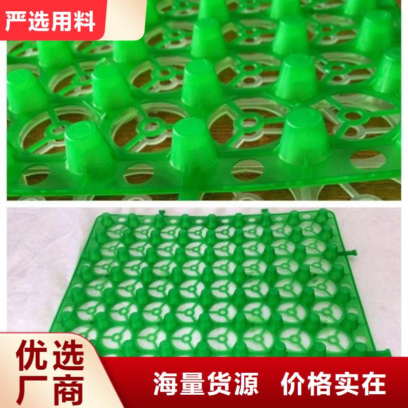 塑料排水板價格實惠