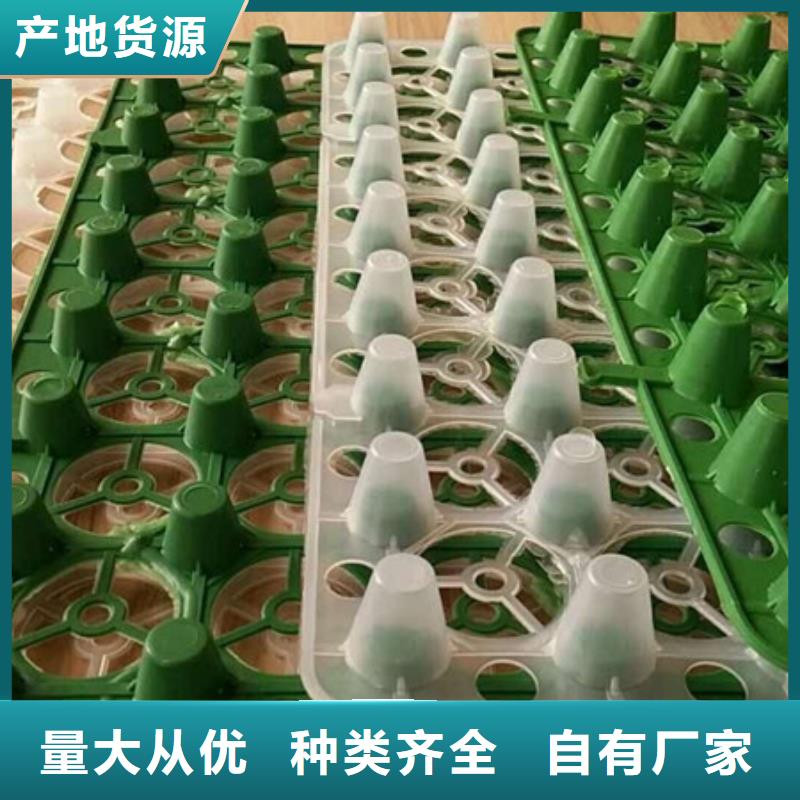 排水板植草格品质优选