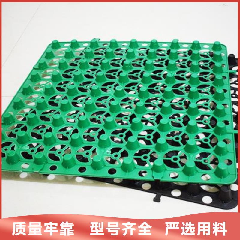 塑料排水板直供廠家