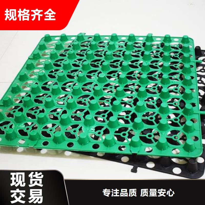 車庫排水板廠家歡迎您