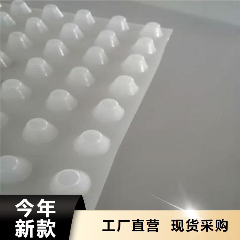 塑料排水板公司-廠家直營