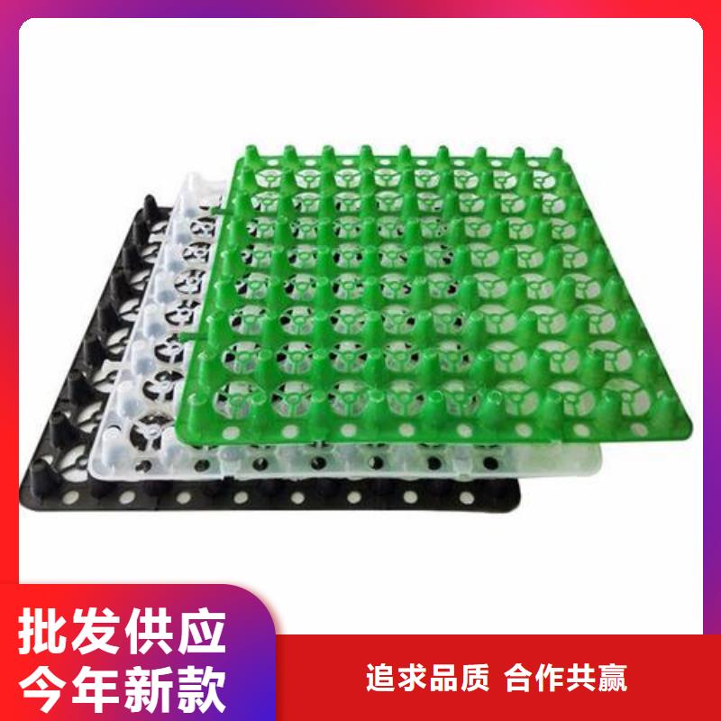塑料排水板公司-廠家直營