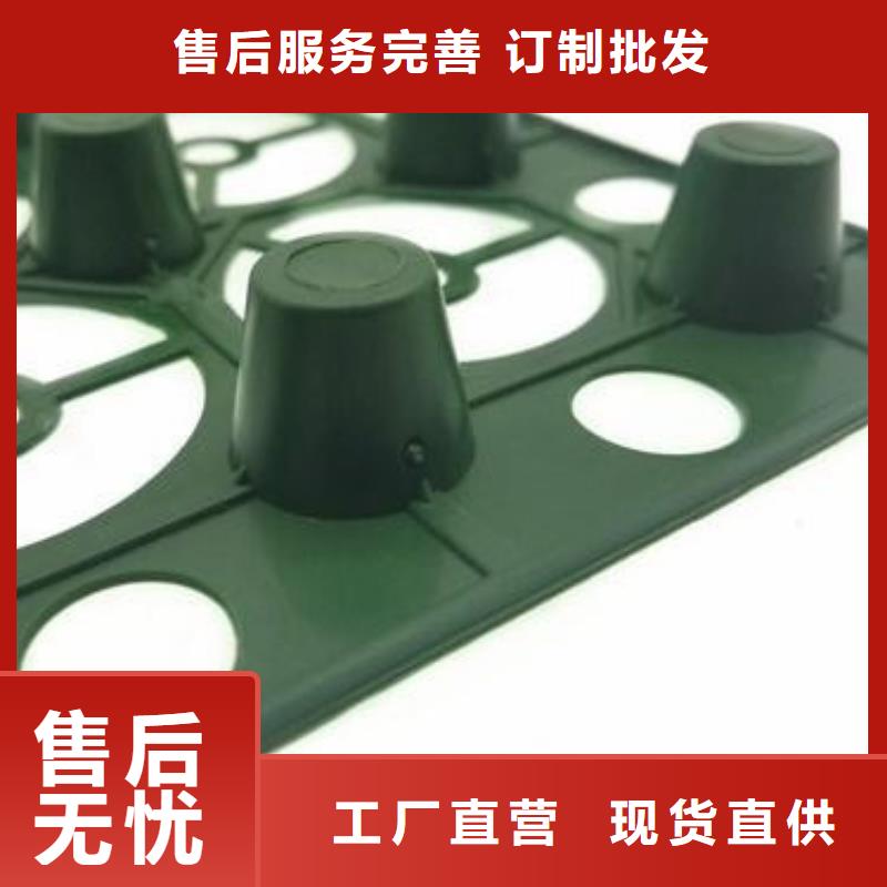 【排水板防護虹吸排水收集系統質保一年】