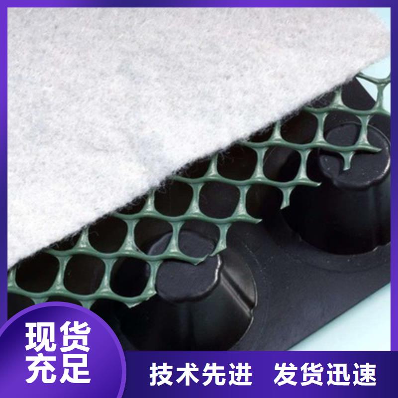 排水板-高分子排水異形片公司