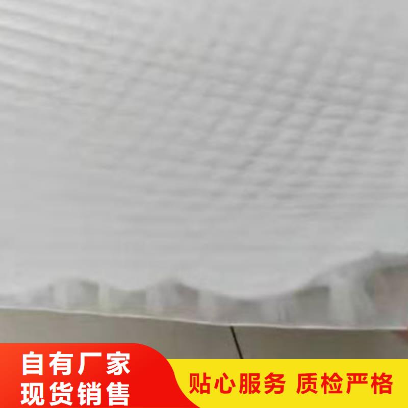 排水板_水泥化糞池低價貨源