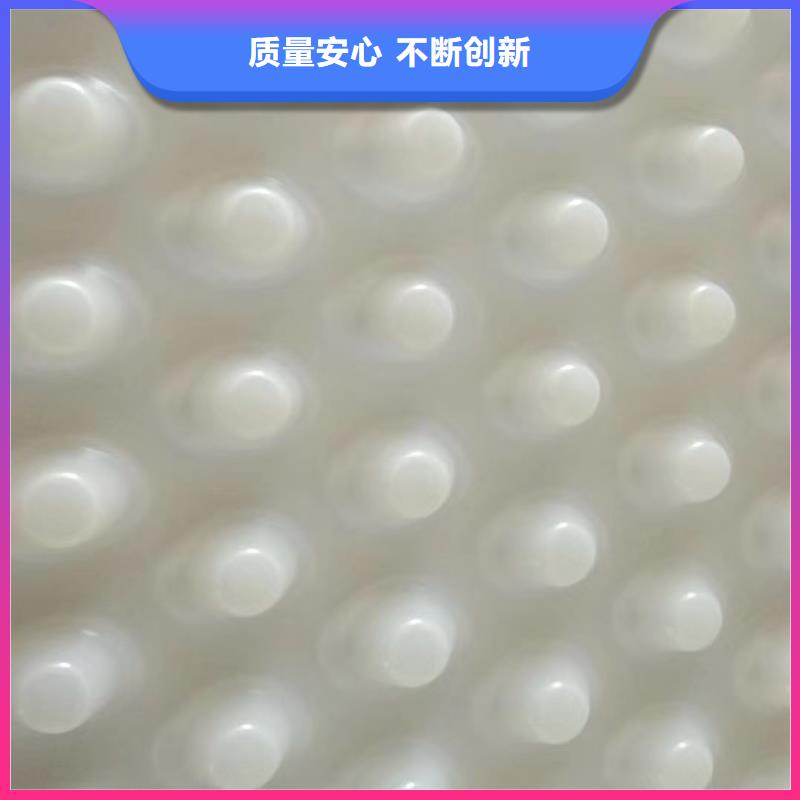 排水板防护虹吸排水收集系统用品质说话