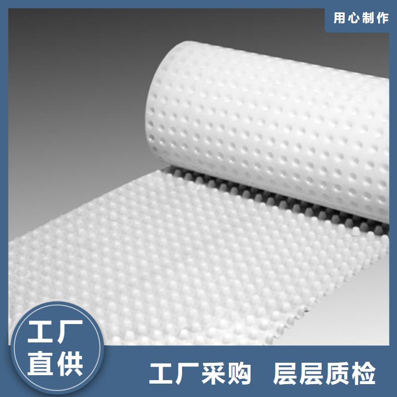 排水板植草格廠家直銷省心省錢