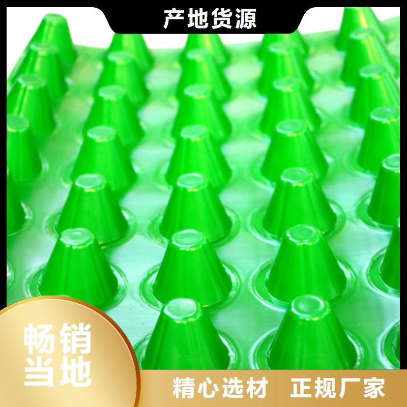 排水板化糞池水泥服務至上