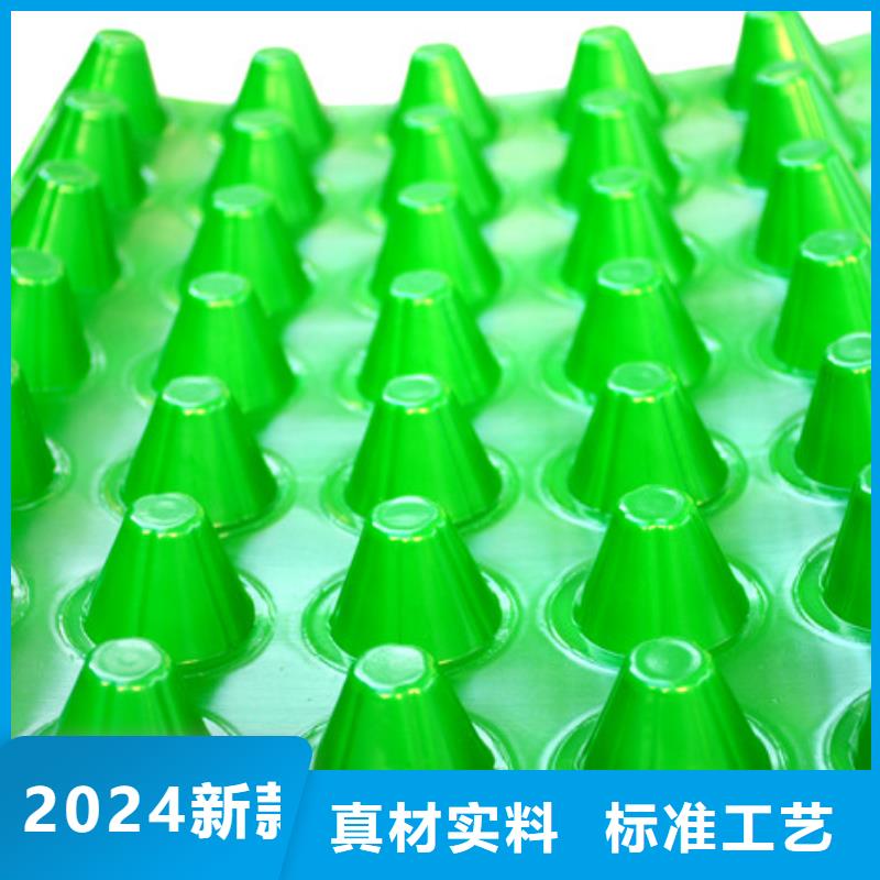 排水板_植草格优选原材