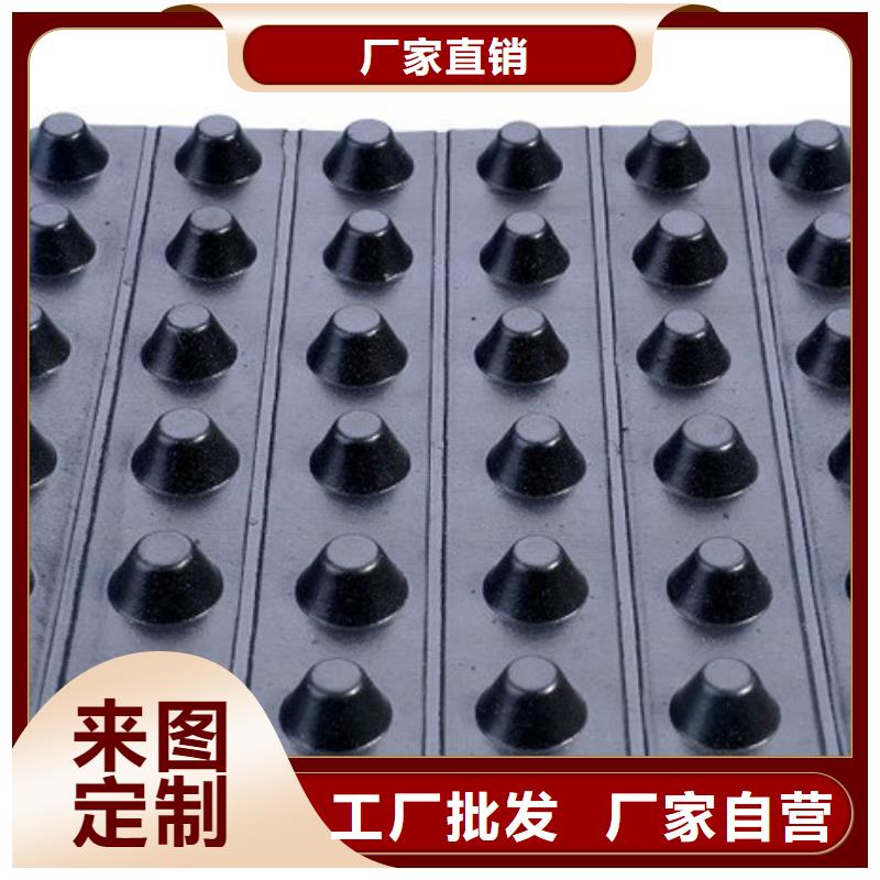 排水板水泥化糞池實(shí)體廠家支持定制