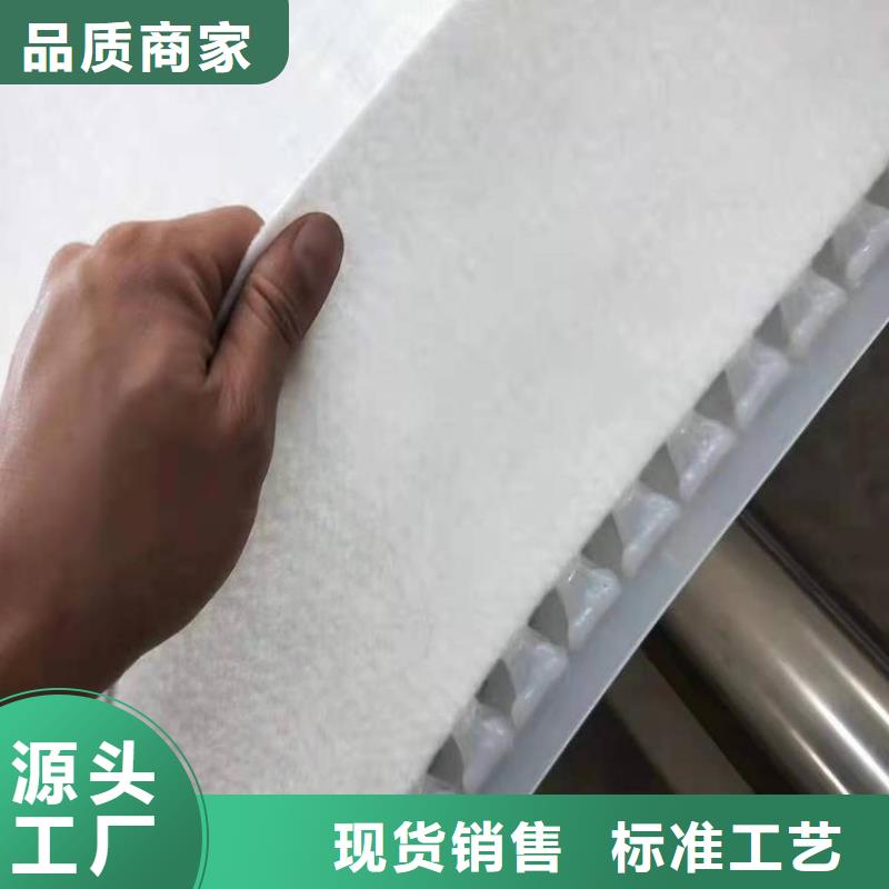 【虹吸排水】-排水板廠家現貨供應