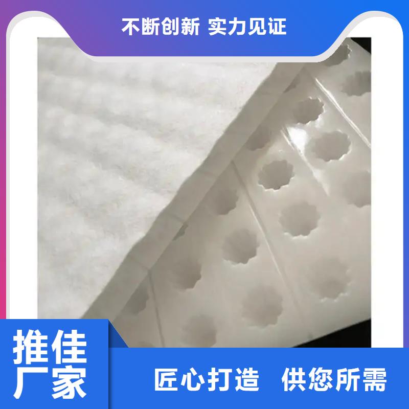 虹吸排水_排水板供貨及時