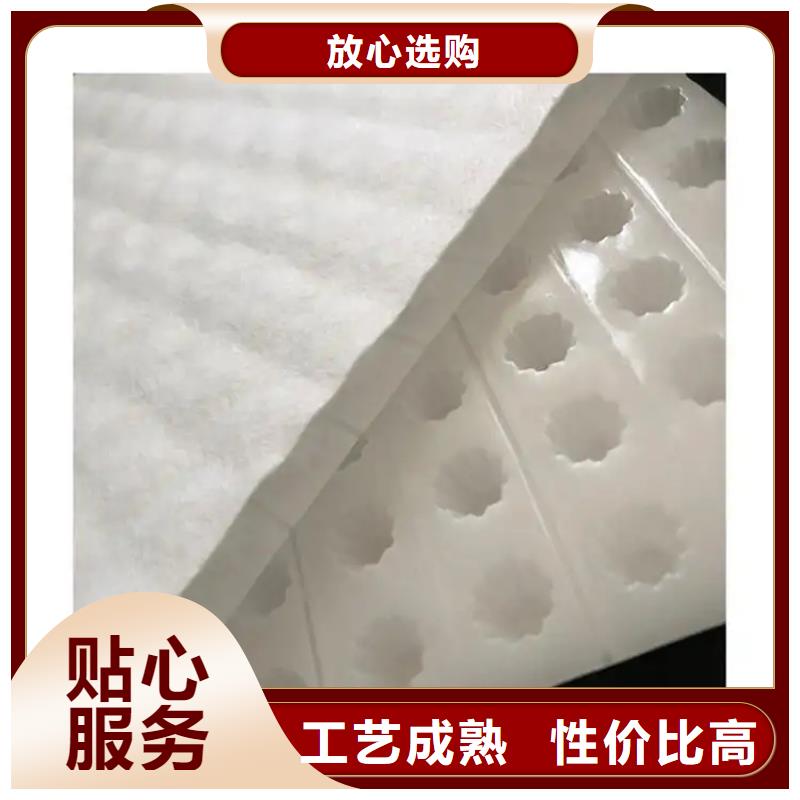 虹吸排水防護虹吸排水收集系統細節嚴格凸顯品質