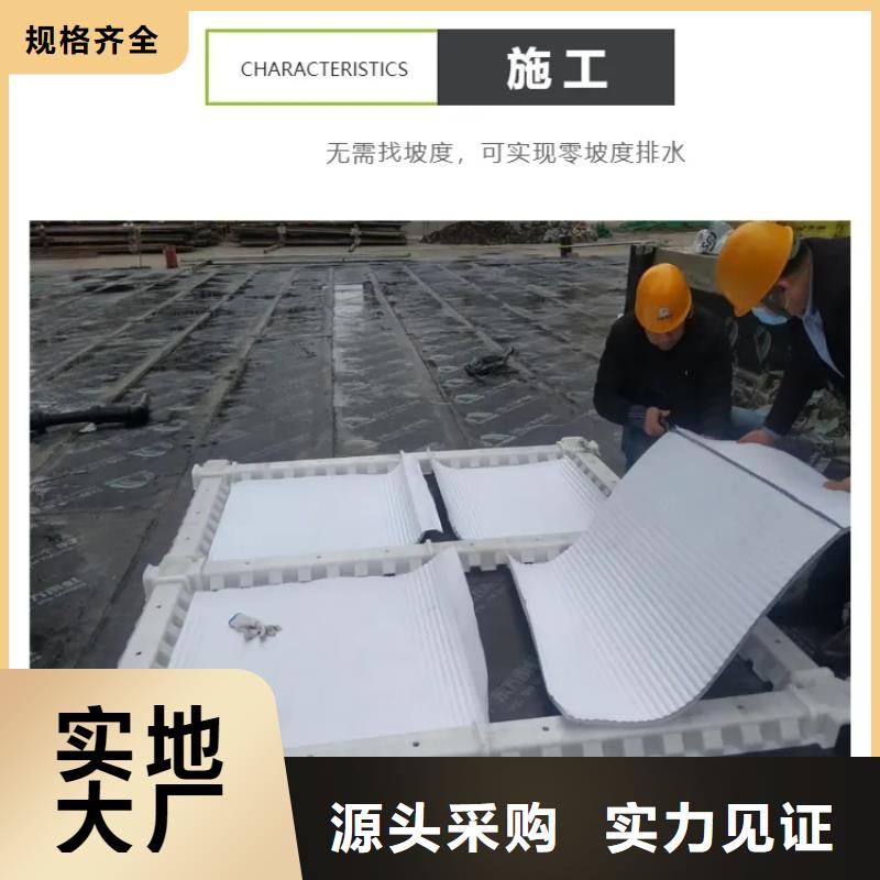 虹吸排水排水板專業生產團隊