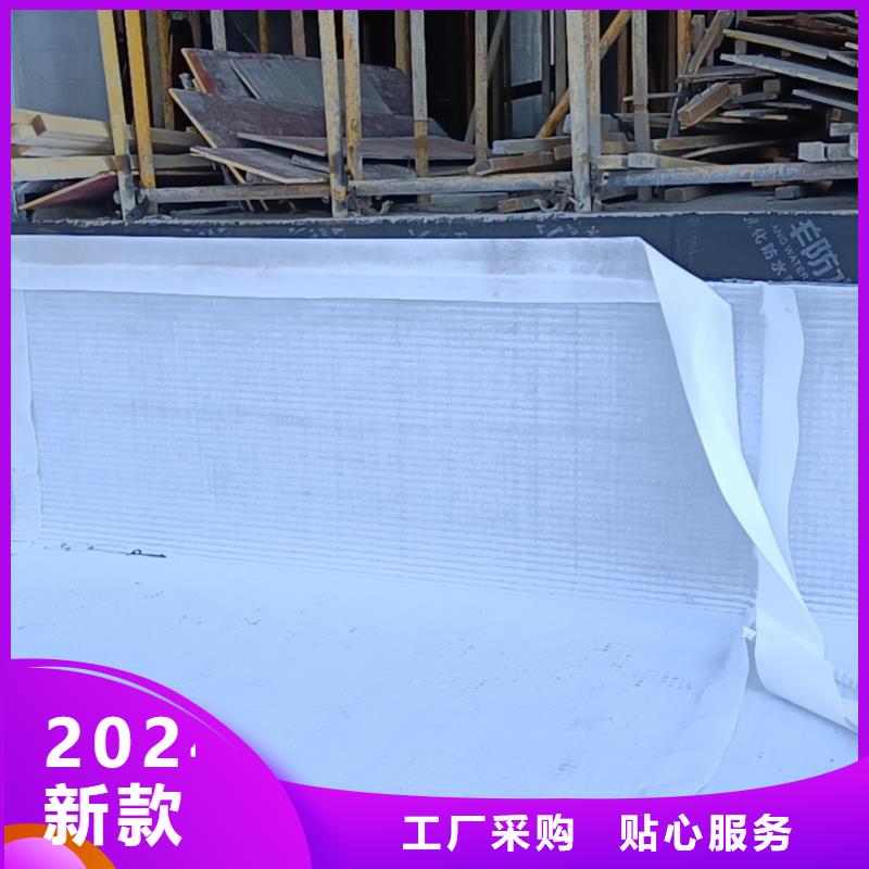 防護虹吸排水收集系統/本地公司