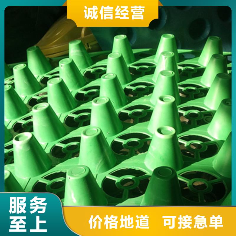 虹吸排水植草格安裝簡單