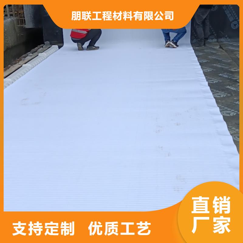 高分子防護排水異形片發貨及時