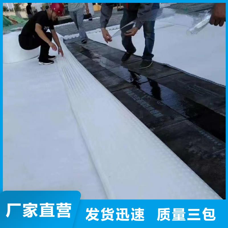 虹吸排水植草格品質無所畏懼