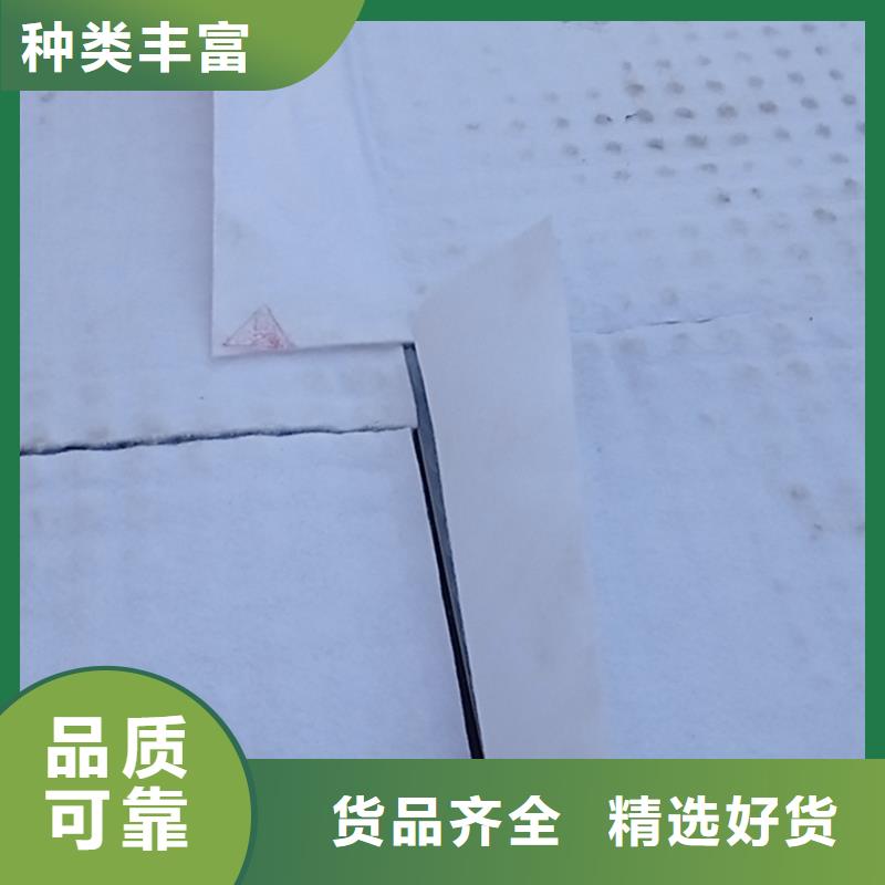 【虹吸排水】植草格定制銷售售后為一體