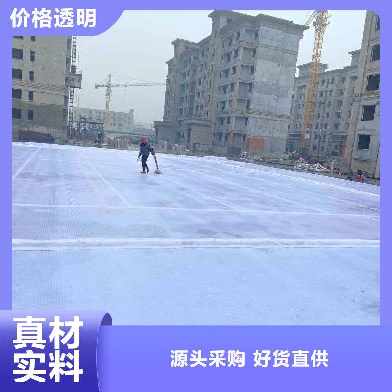 虹吸排水水泥化糞池專業品質