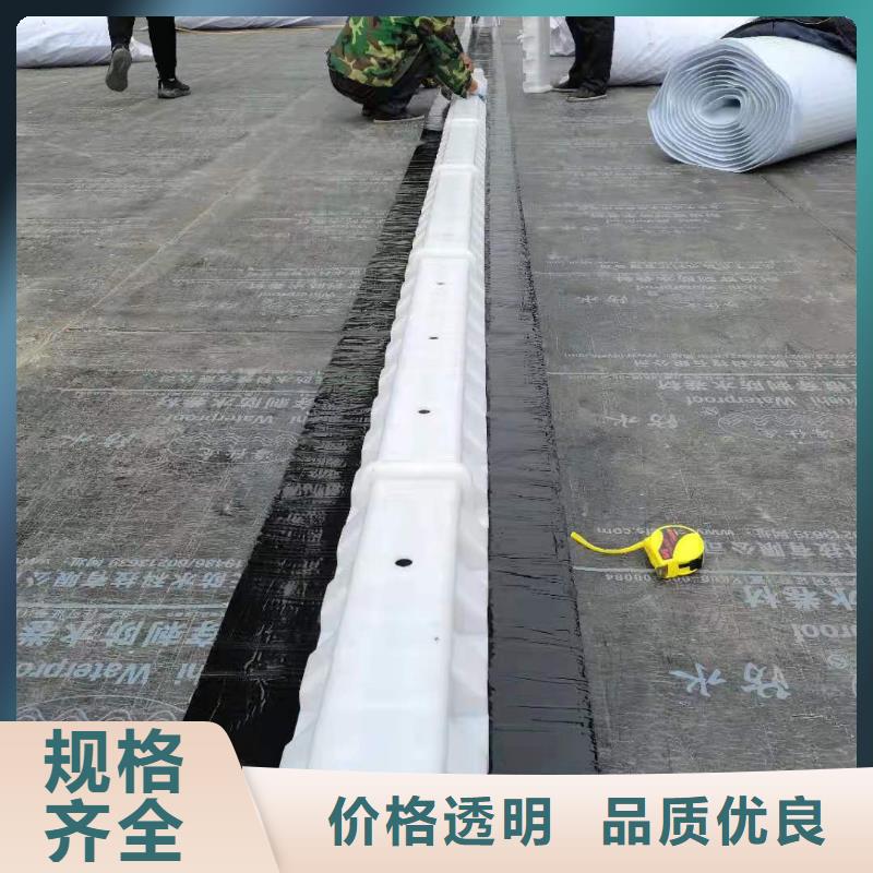 防護虹吸排水收集系統價格低
