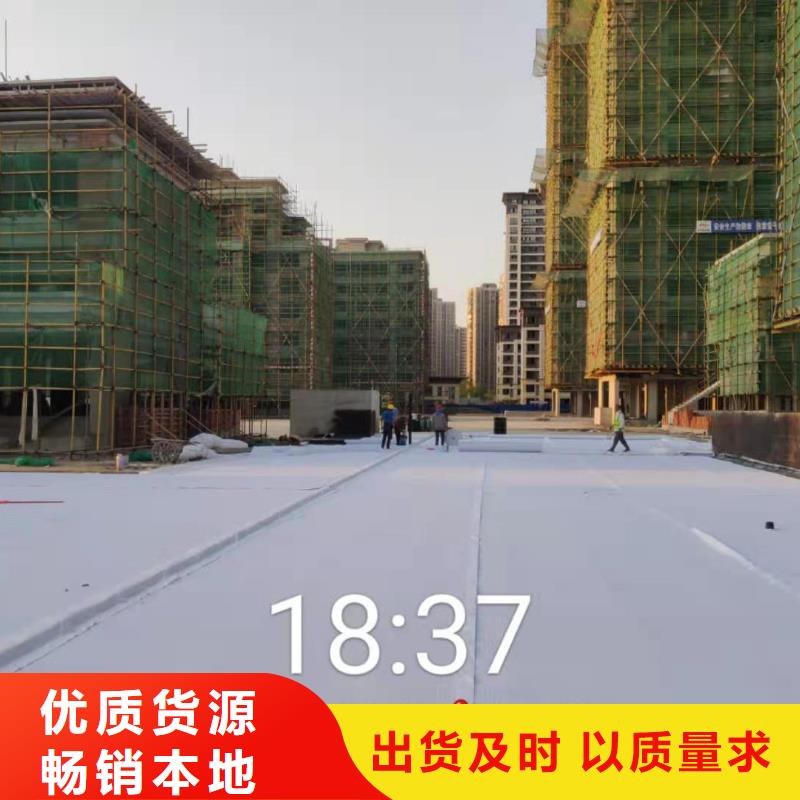 虹吸排水-植草格支持定制