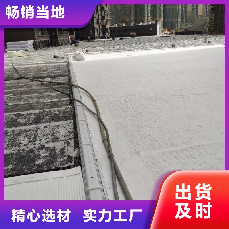虹吸排水防護(hù)虹吸排水收集系統(tǒng)專業(yè)生產(chǎn)品質(zhì)保證